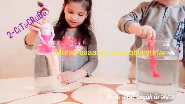 Ən maraqlı təcrübələr. #evdeqal #опыт #chemical  #перец #вода # апельсин