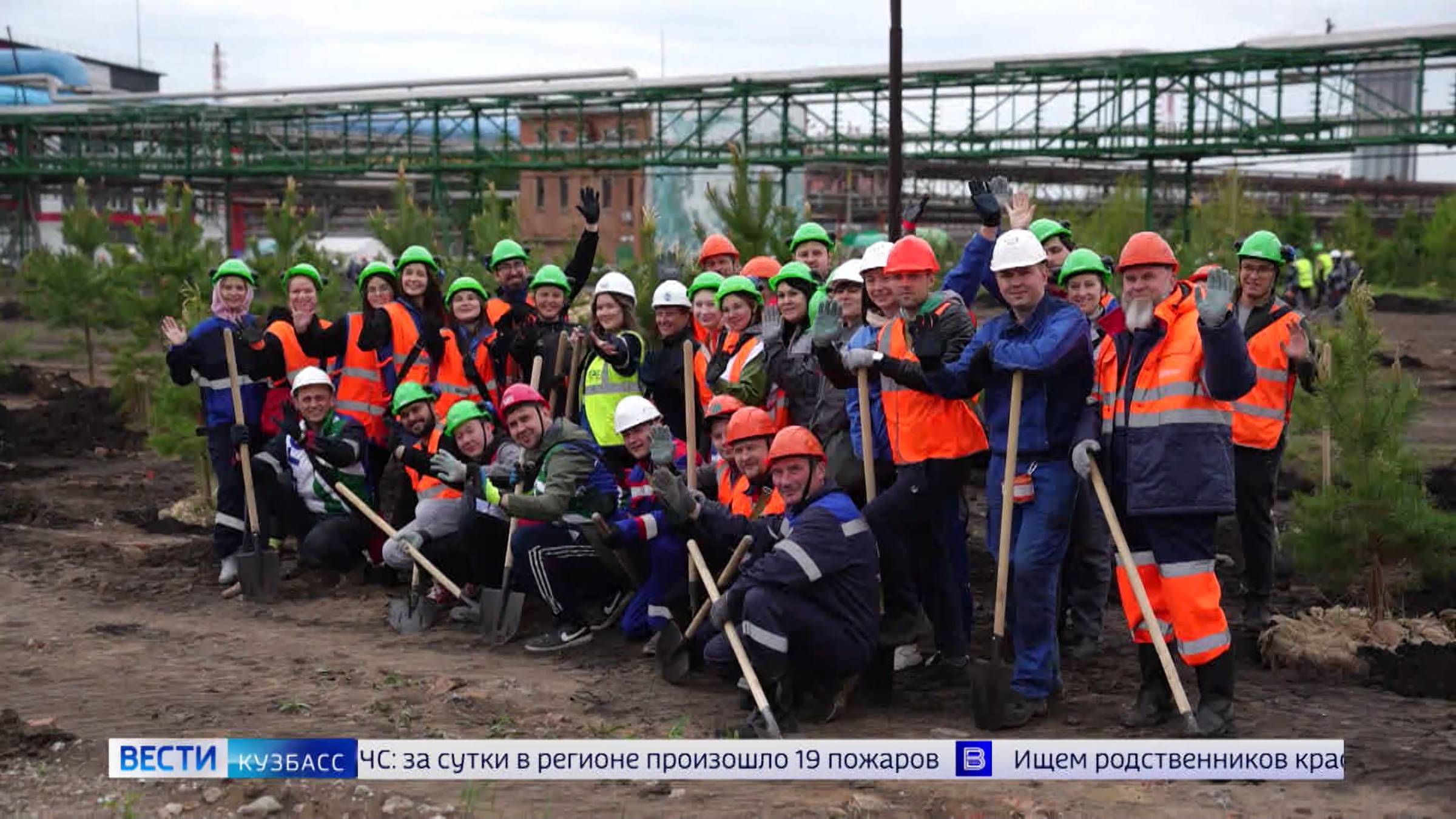 Ко Дню химика и 80-летию предприятия на кемеровском «Азоте» высадили 400 саженцев сосны