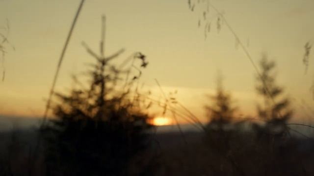 старый дом