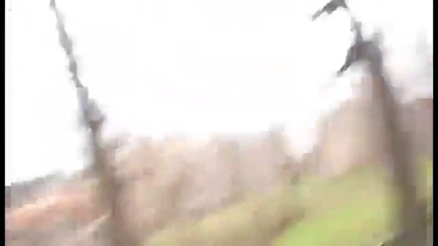а я думала сова   DDD