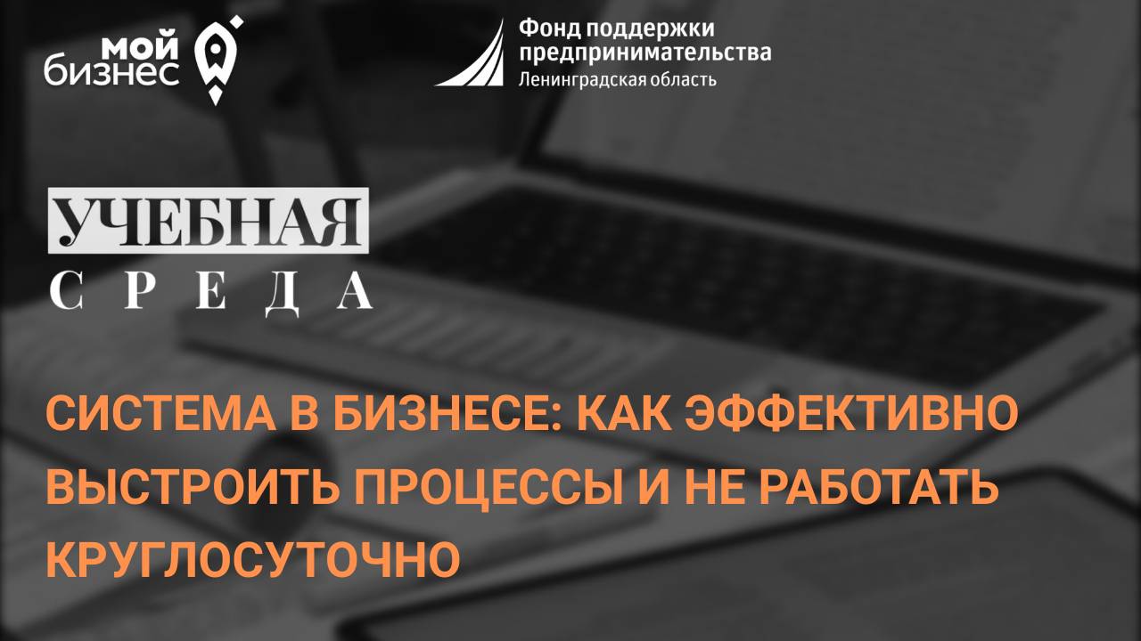 Учебная среда «Система в бизнесе: как эффективно выстроить процессы и не работать круглосуточно»