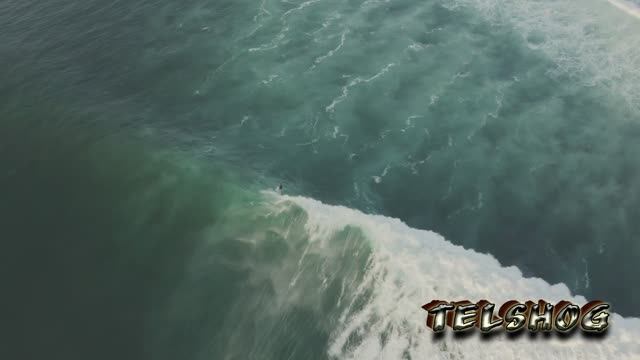 TELSHOg - Hit The Ground Running
