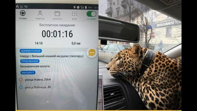 Приколы на работе. Ржака!