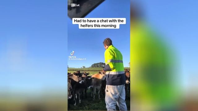 Best video of Tik Tok! 21.05.25 / 01