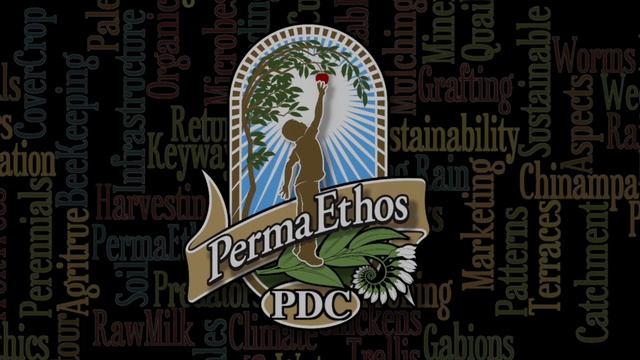 3. КУРС ДИЗАЙНЕРА ПЕРМАКУЛЬТУРЫ (PDC) \\ Методы дизайна