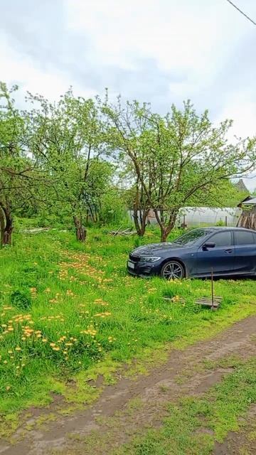продажа участок.зеленодольский район с осиново  снт берёзка