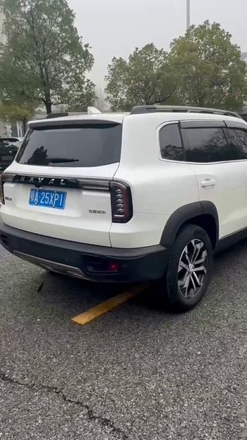 Haval Doggo 2021 DCT Two-wheel Drive Bian Mu Edition 1.5T