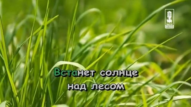 Принцесса и Трубадур