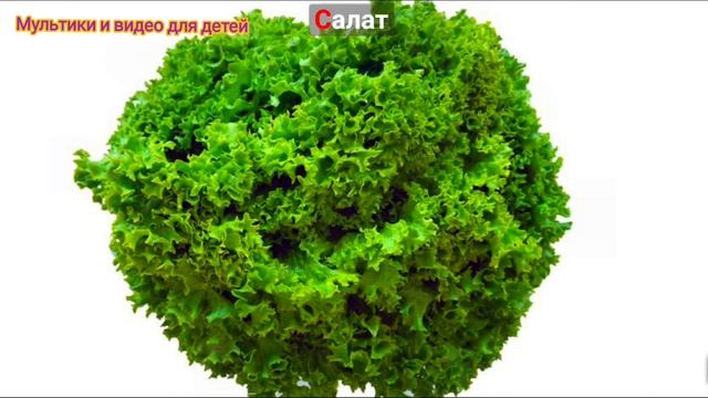 Учим фрукты и овощи с малышами на русском языке #5/ развитие речи для детей/ развивающий мультфильм