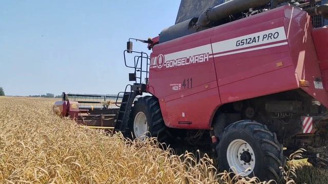 Проверка качества уборки озимой пшеницы в КСУП Красна