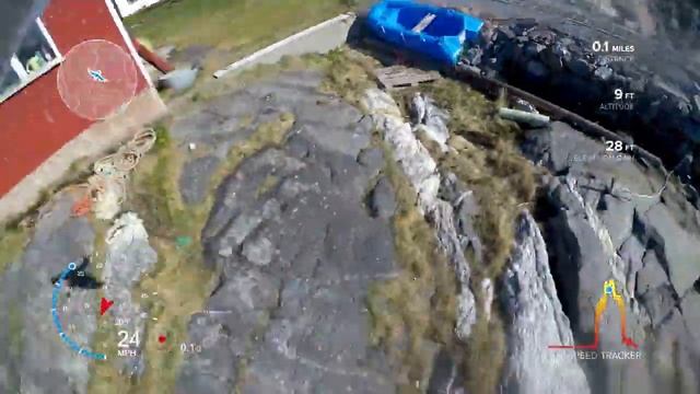 Чайка украла видеокамеру и засняла свой полет