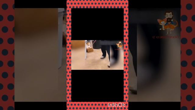 клип,, это просто борщевик"