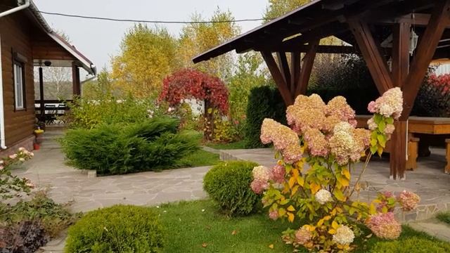 Мои цветущие цветы часть (14)