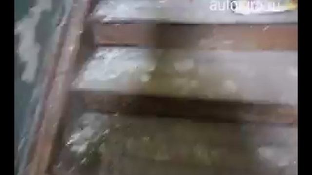 Олд скул Стая-party "Шашлык: нежданное путешеСТвие"