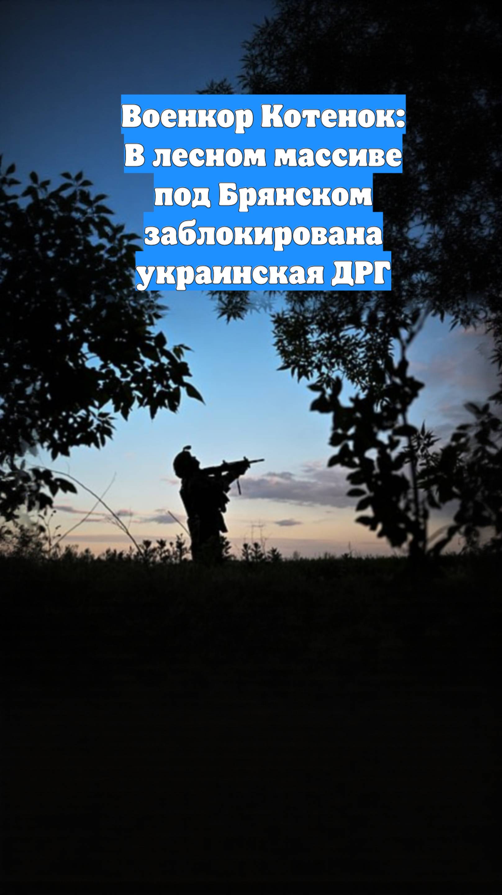Военкор Котенок: В лесном массиве под Брянском заблокирована украинская ДРГ