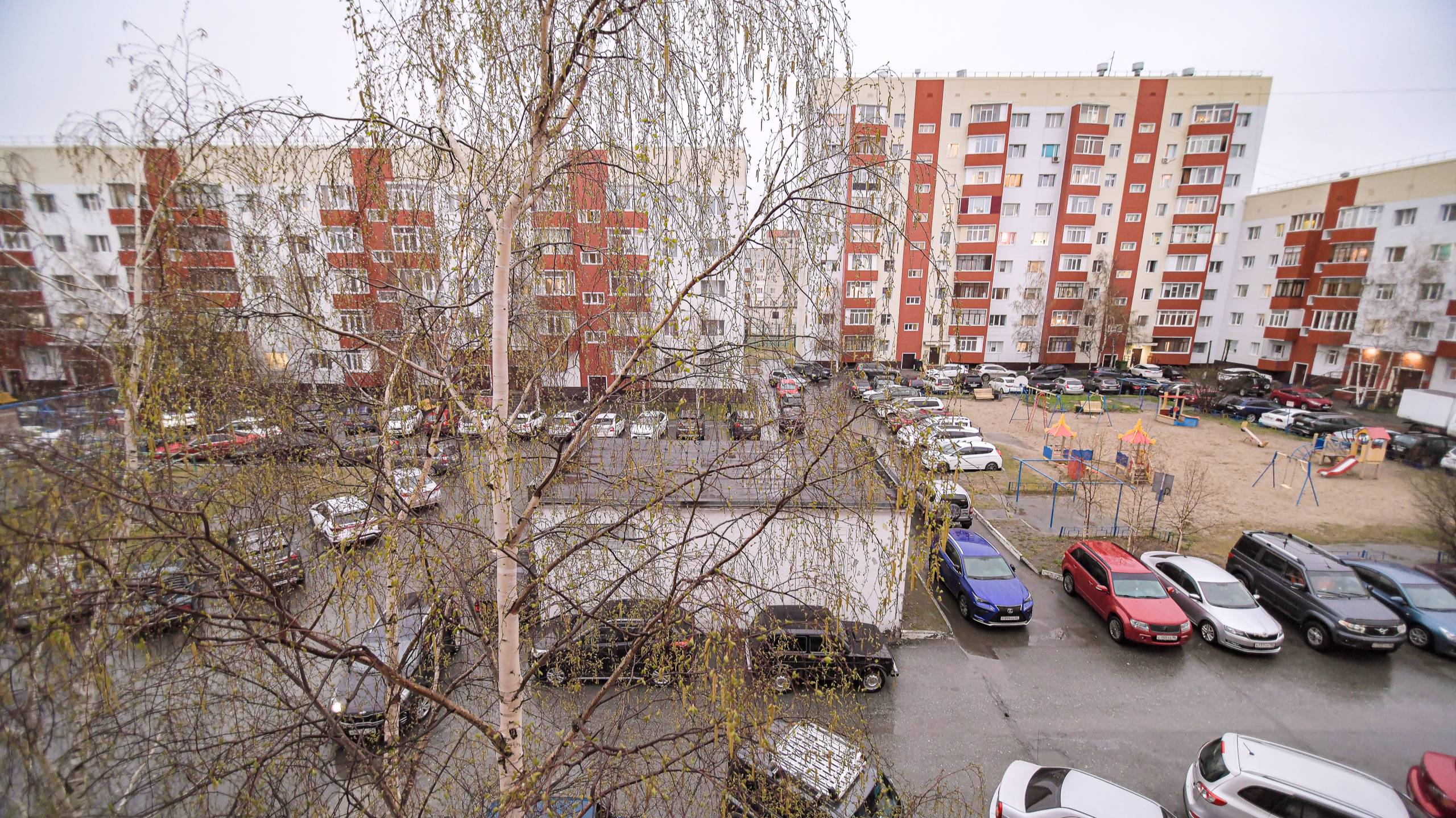 7753748 Фёдорова 69