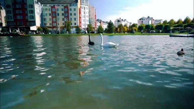 omletik.Krasnodar