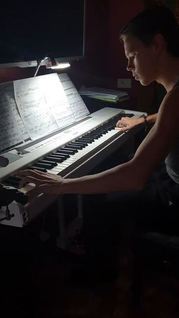 |PIANO|DANIIL|кусочек из полет шмеля
