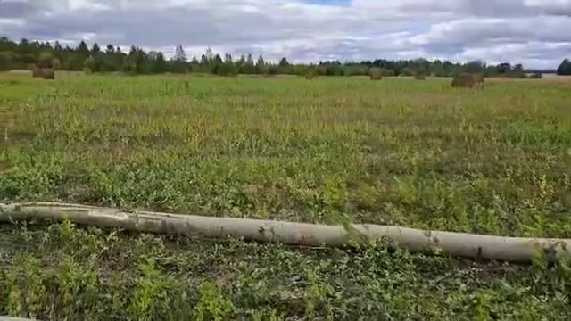 5 января 2025 г.