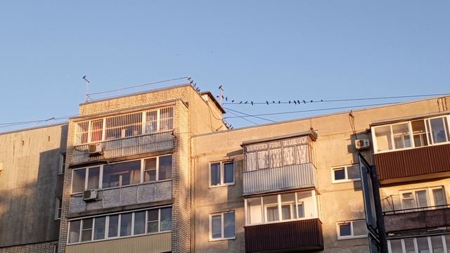 1000007188.mp4
