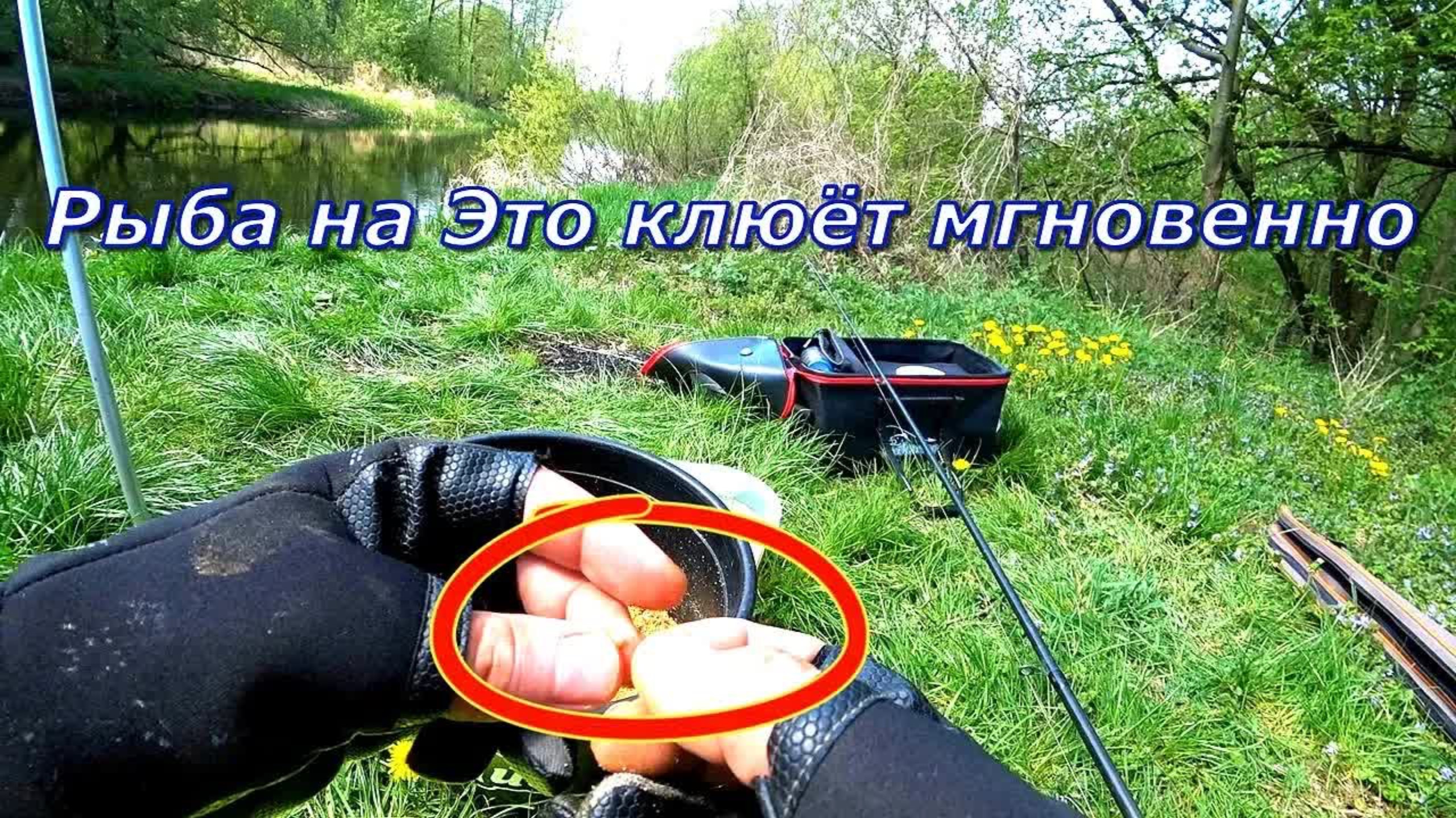 Секрет в этой наживке  На рыбалке делай так клёв мигом