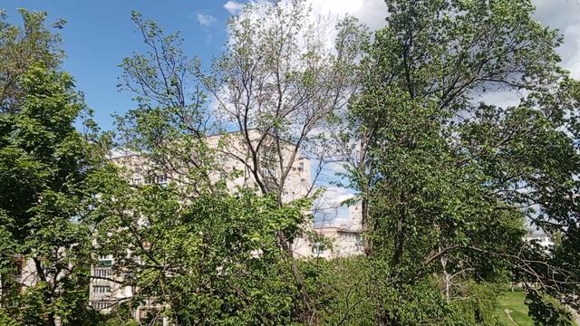 В Тамбове #весна и лёгкий #ветерок