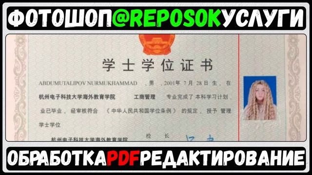 Редактирование в ПДФ скане, извинения вьетнамских иероглифов. Фотошоп Услуги на ЗАКАЗ! #reposOK