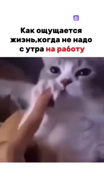 IMG_20250521_163948_410.mp4