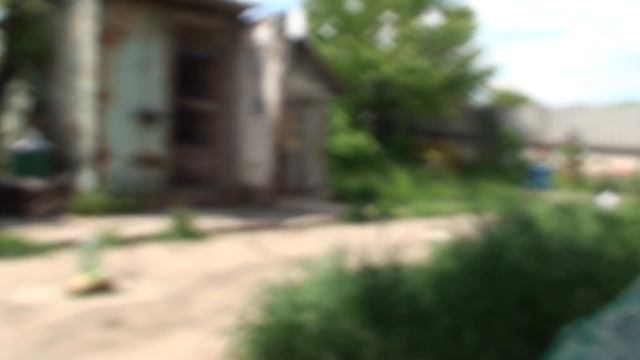 Гон голубей.22.05.19.