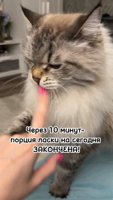 У кого также?😂 Пиши в комментариях 👇