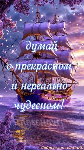 ✨🎀🎵Доброго вечера желаю! Уюта, спокойствия.#видеооткрытка#музыкальнаяоткрытка#добрыепожелания
