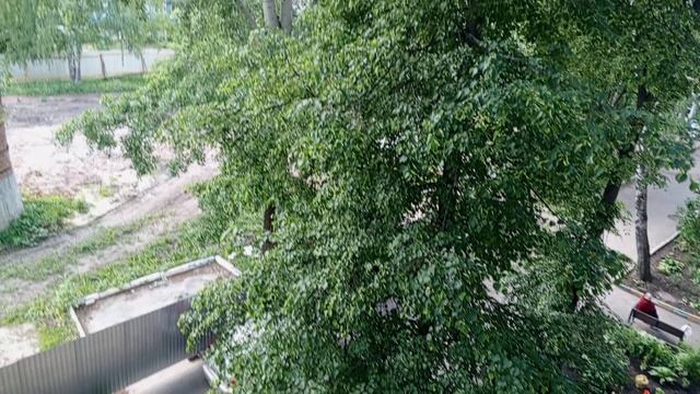 1000007153.mp4