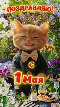 сумашетшый