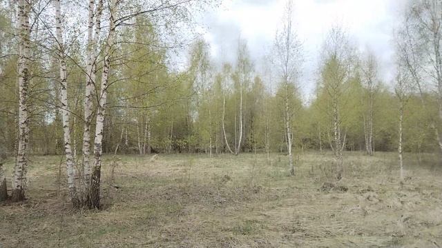 аукцион 50:04:0240302:721