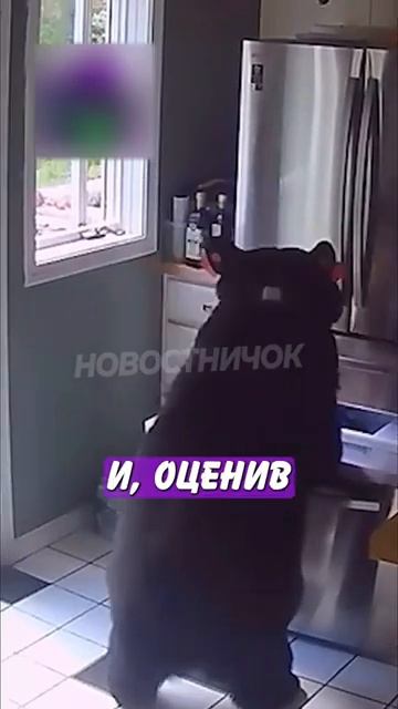 Новостничок (341)