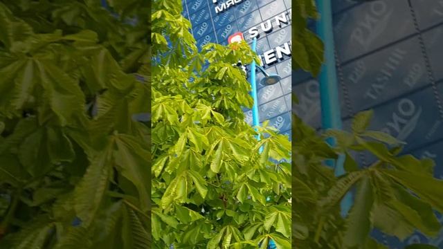 экскурсия по Москве третья часть