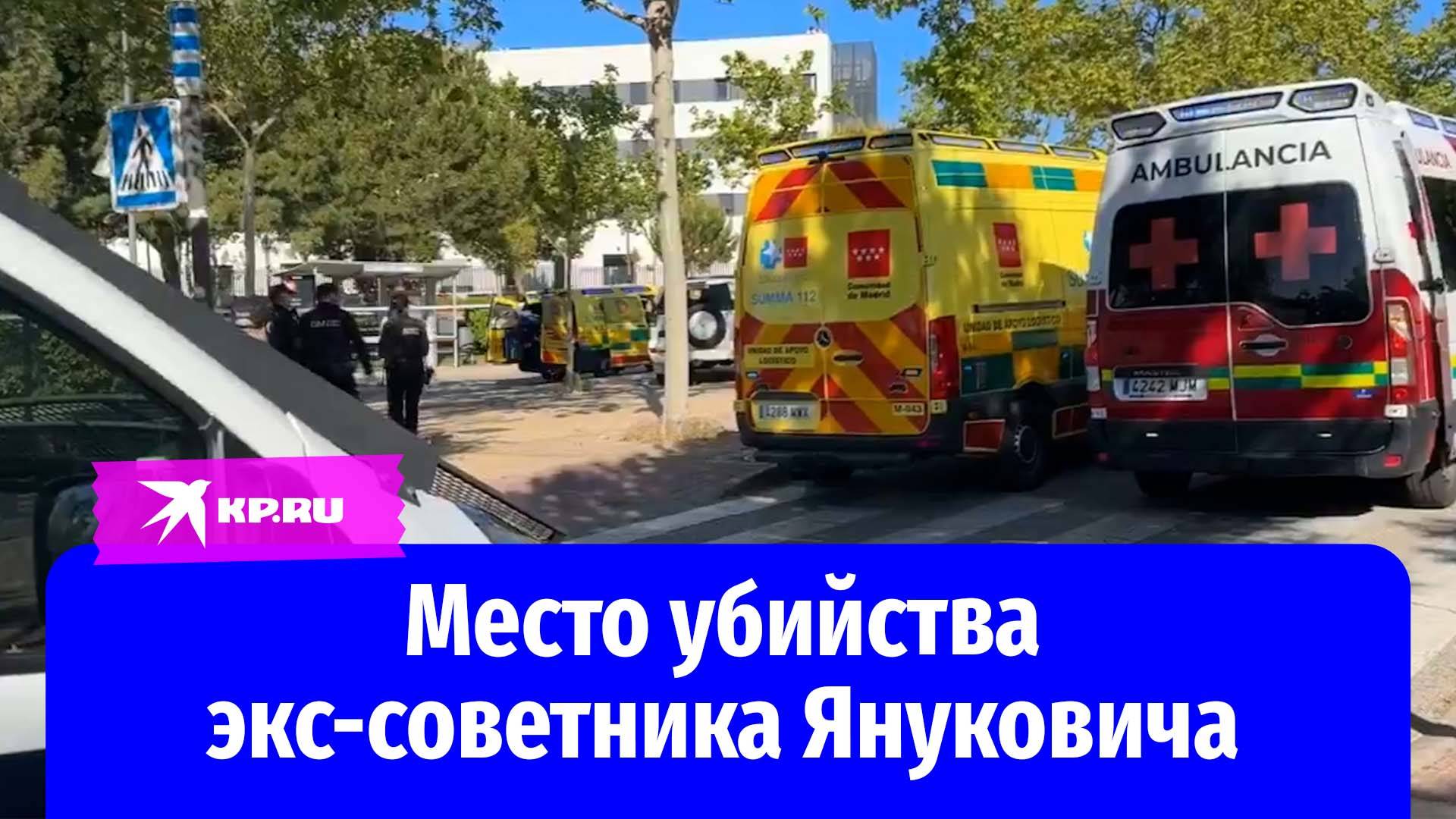 Видео с места убийства экс-советника Виктора Януковича Андрея Портнова в пригороде Мадрида