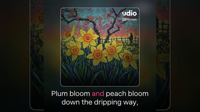 Daffodils