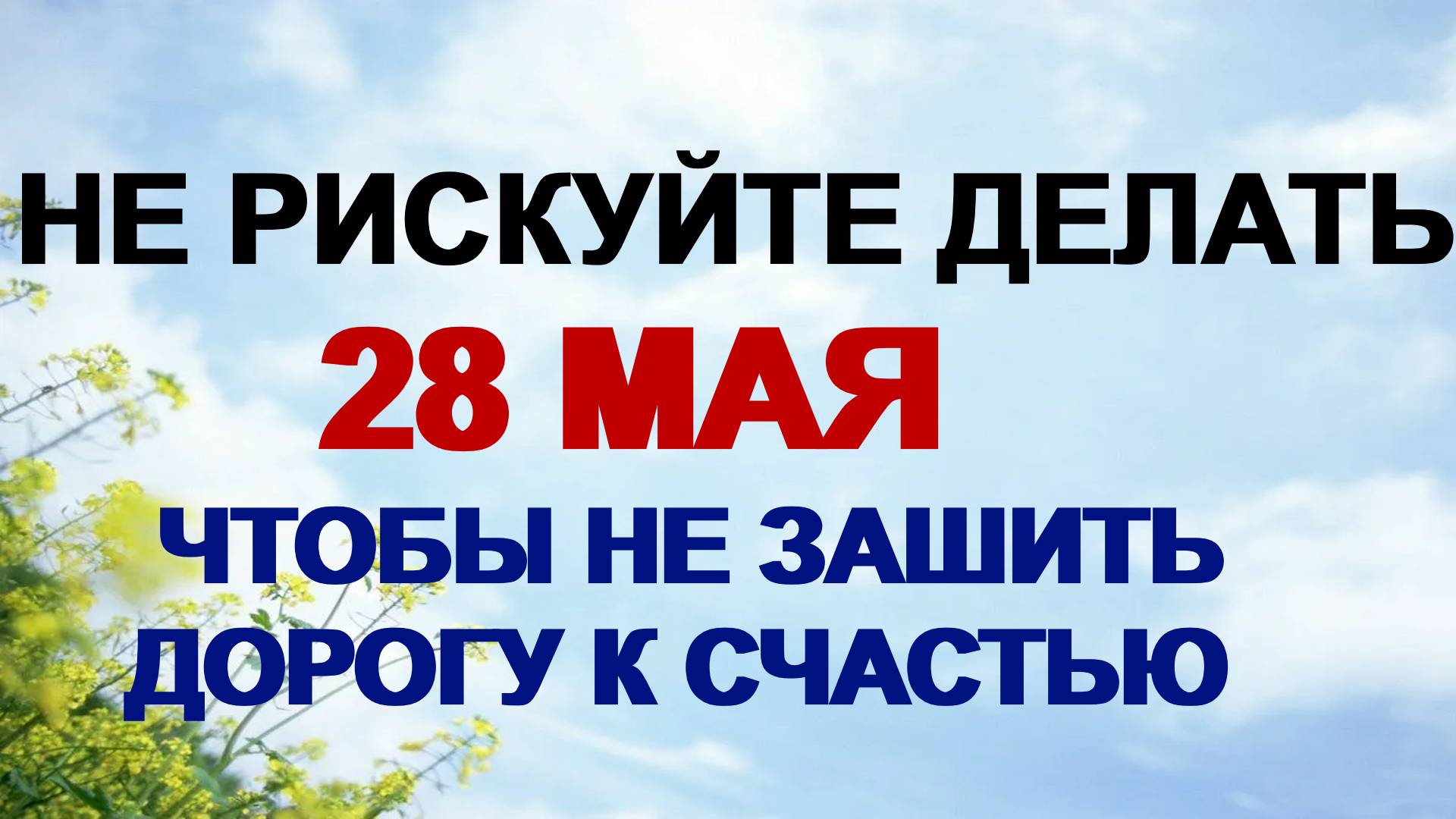 28 мая. День Пахома.Что можно и что нельзя делать , народные приметы