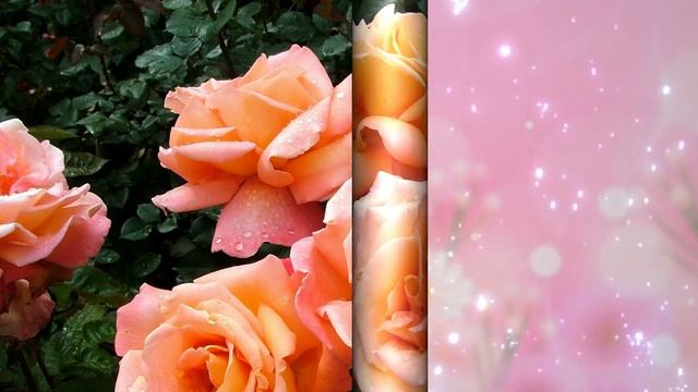С Днем Рождения Душевная песня Музыкальная открытка