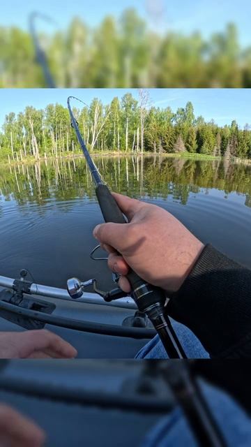 Рыбалка на спиннинг