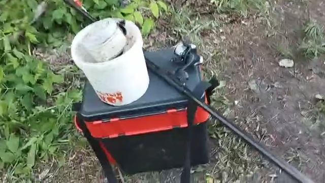 Будни егеря. Хороший карась. 21.05.25.