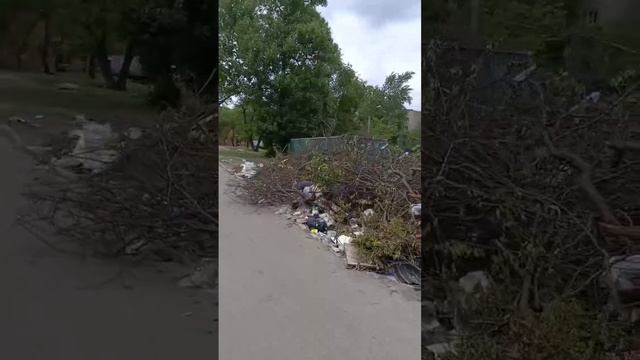 РАСТЕТ КАК НА ДРОЖЖАХ: жители Менделеева показали огромную свалку, которая только увеличивается.