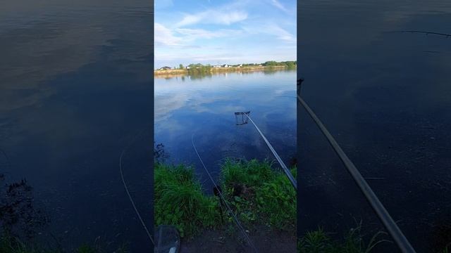 Что мы поймали с Ваньком за 4 часа. #рыбалка