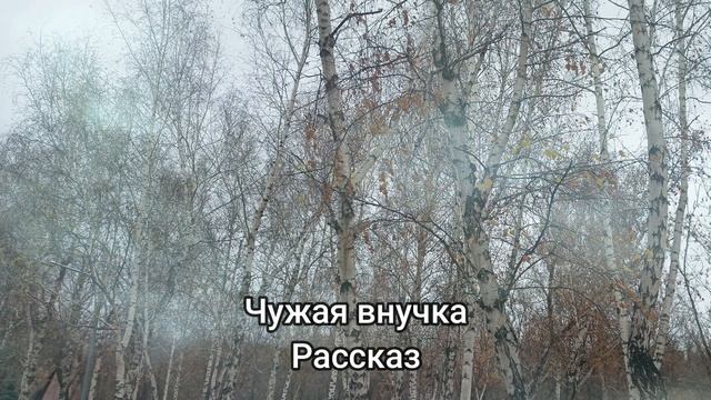 Чужая внучка - рассказ | интересные истории. | Слушать рассказы