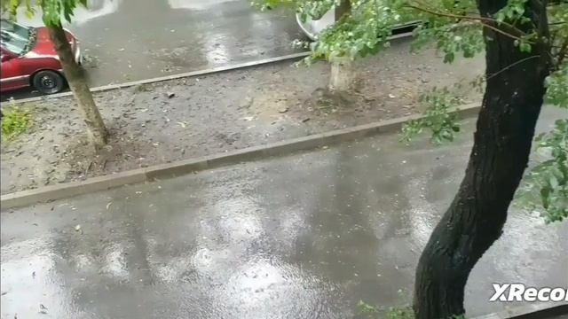 Дождь.mp4
