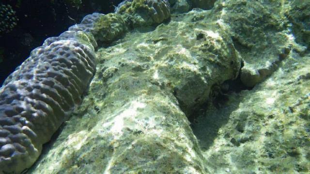 Красное море май 2025