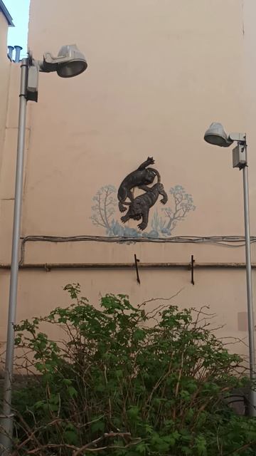 Прогулки по Петербургу