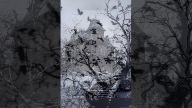 Средь тихих улиц-Н.Чиляков.mp4