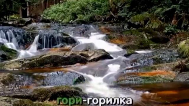Верка Сердючка - Горілка (Караоке)